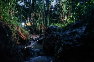 BIB: 
                            <button type="button" onclick="openModal(26206328)" class="btn btn-primary btn-sm float-right btn-popup" data-toggle="modal" data-target=".modal-high-quality">
                        <i class="fas fa-shopping-cart"></i> Add to Cart
                    </button>
                                            <button type="button" onclick="isThisMe(26206328, true)" class="btn btn-success btn-sm float-right btn-popup btn-isme hidden" data-toggle="tooltip" data-placement="bottom" title="นี่คือรูปของคุณใช่ไหม คลิกที่นี่เพื่อเอาเข้าอัลบั้ม">
                        <i class="fas fa-plus"></i> Add to album
                    </button>
                    <button type="button" onclick="isThisMe(26206328, false)" class="btn btn-warning btn-sm float-right btn-popup btn-isnotme hidden">
                        <i class="fas fa-ban"></i> Remove from album
                    </button>